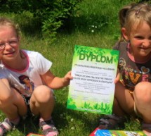 Milion drzew… Milion drzew…