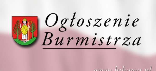 Otwarty konkurs ofert “Organizacja Bałtyckiej Ligi Młodzików w zapasach w stylu klasycznym o Puchar Burmistrza Miasta Lubawa”