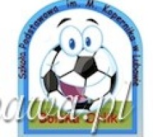 ORLIK zaprasza na sportowe animacje! ORLIK zaprasza na sportowe animacje!