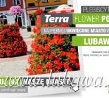 Zagłosuj na ukwieconą Lubawę Zagłosuj na ukwieconą Lubawę