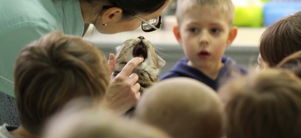 „Kangurki” u weterynarza „Kangurki” u weterynarza