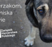 Harcerze organizują akcję ,,Od serca dla zwierzęcia” Harcerze organizują akcję ,,Od serca dla zwierzęcia”