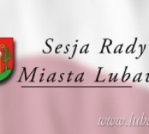 VIII sesja Rady Miasta Lubawa VIII sesja Rady Miasta Lubawa