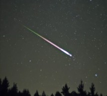 Wspólne obserwacje „spadających gwiazd” Wspólne obserwacje „spadających gwiazd”