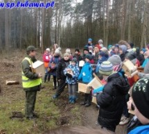 Budka Lęgowa 2016 Budka Lęgowa 2016