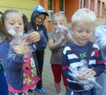 „Papużki” sprzątają świat „Papużki” sprzątają świat