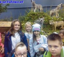 Lekcja przyrody w terenie Lekcja przyrody w terenie