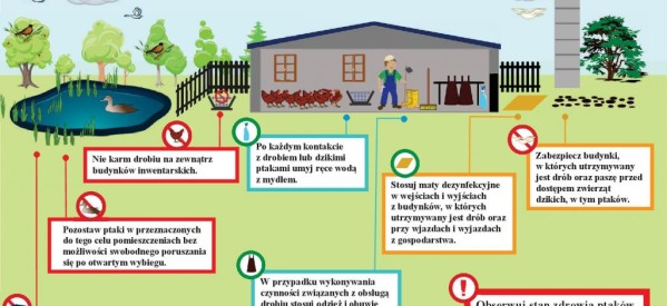 Zasady , których należy przestrzegać w celu ochrony gospodarstwa przed wirusem zjadliwej grypy ptaków ( HPAI )