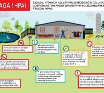 Rozporządzenie Ministra Rolnictwa i Rozwoju Wsi Rozporządzenie Ministra Rolnictwa i Rozwoju Wsi