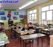 Kangur 2017 Kangur 2017