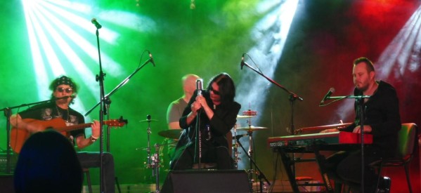 Koncert Pudelsów w MOK Koncert Pudelsów w MOK